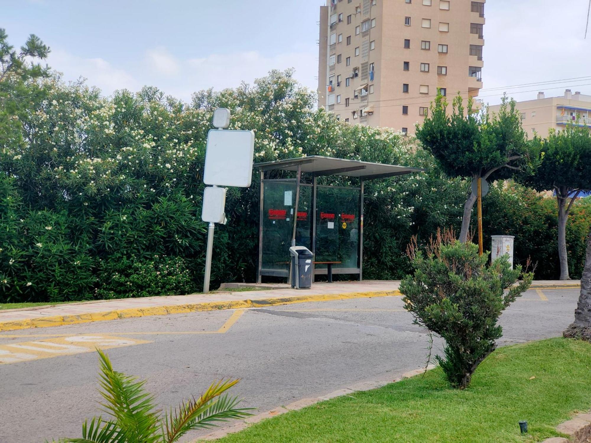 Modern Frontline Apartment